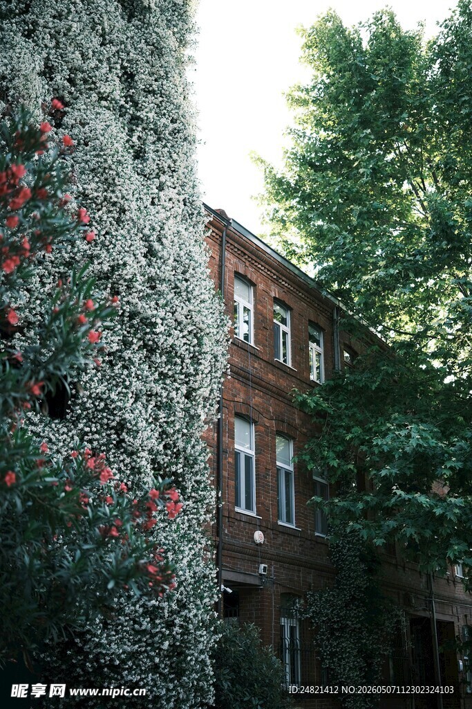 爬满绿植的红砖建筑