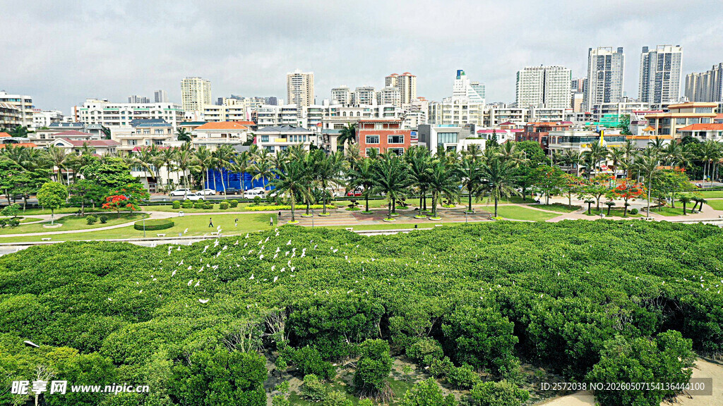 湛江市