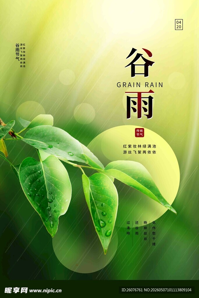谷雨海报