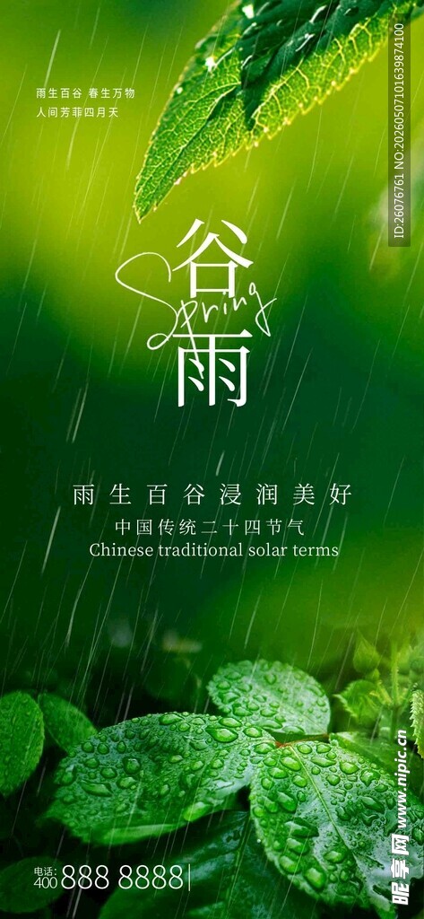 谷雨海报 