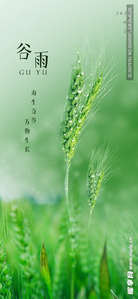 谷雨海报