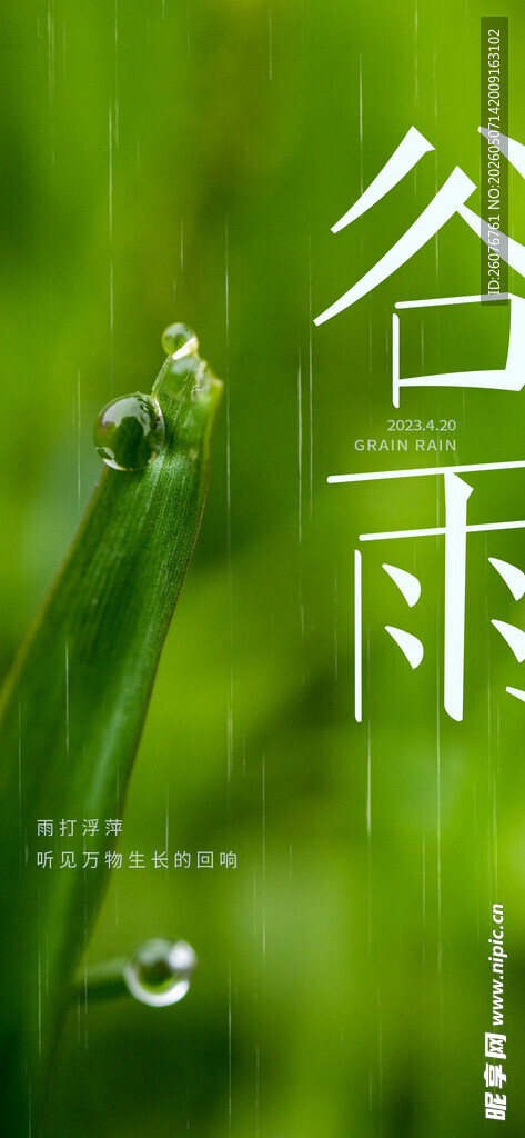 谷雨海报 
