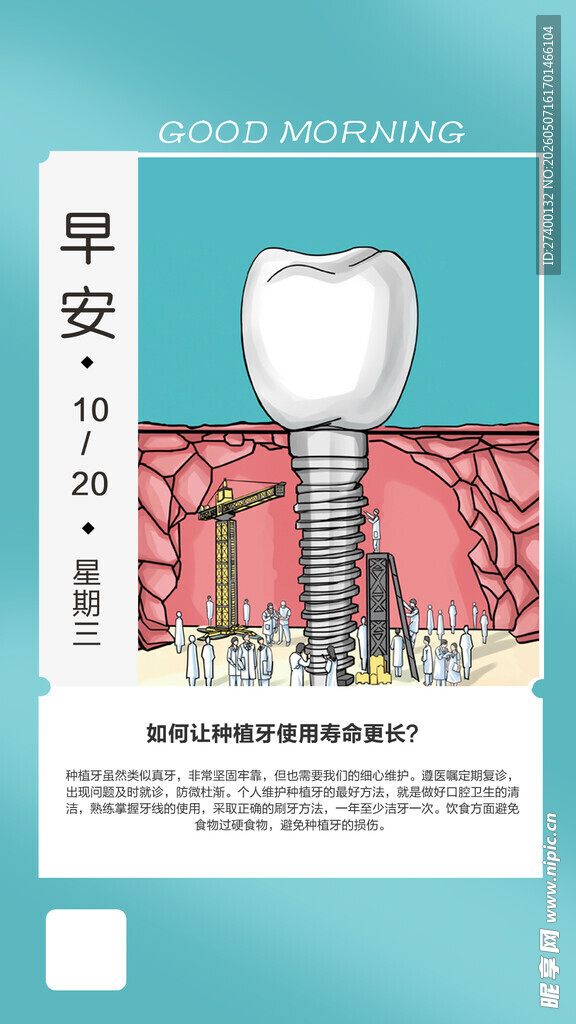 牙齿结构科普图