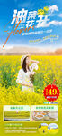 蔡甸消泗油菜花