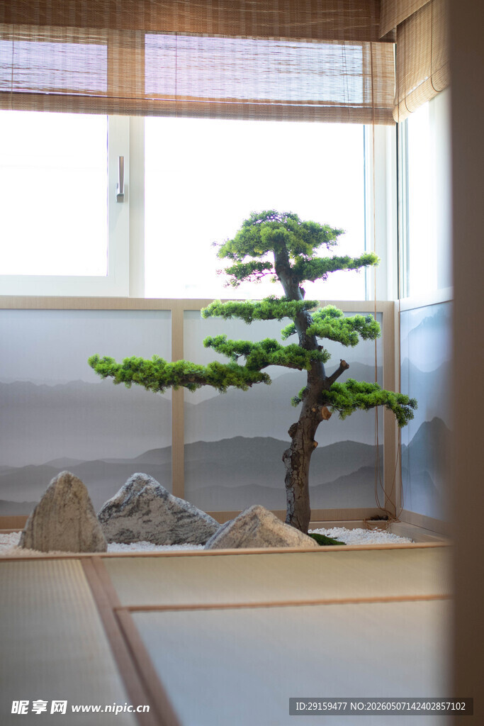 日式房间内的精致盆景