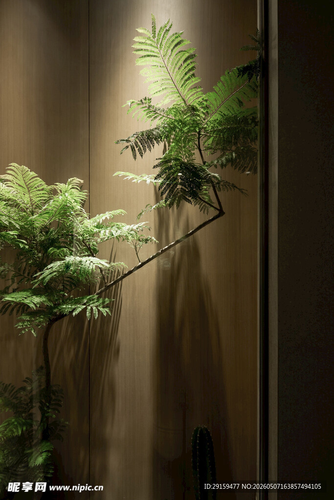 室内绿植装饰