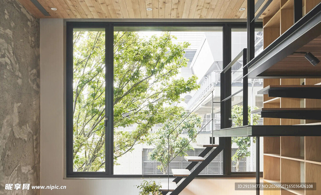 室内窗边楼梯与绿植景观