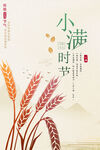 小满 二十四节气       