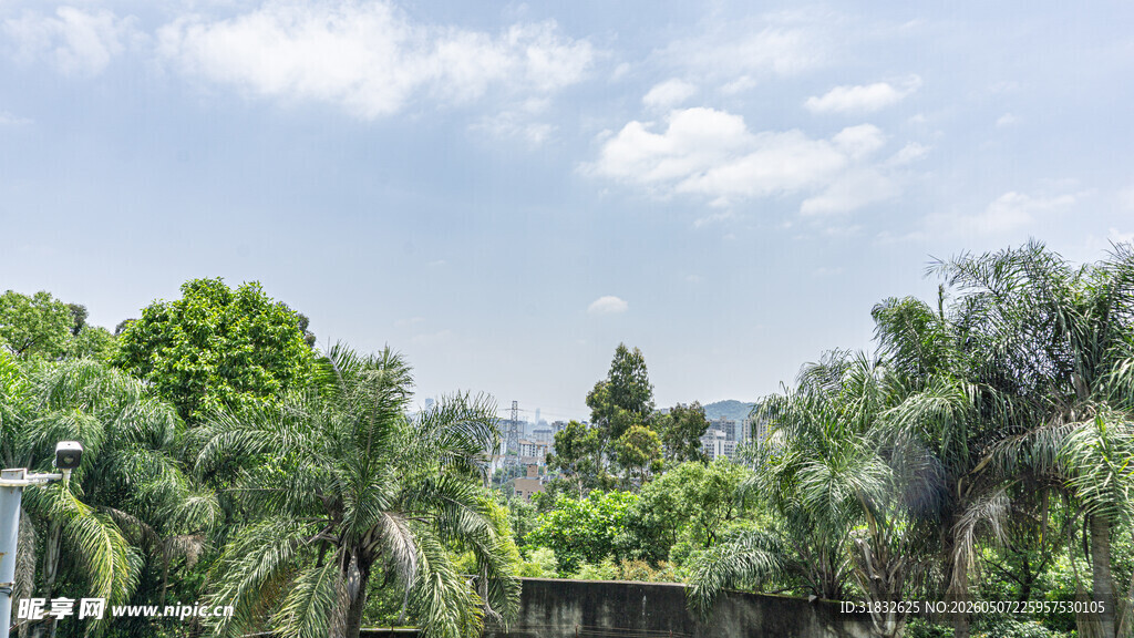 绿意盎然的户外景致