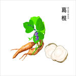 中药材