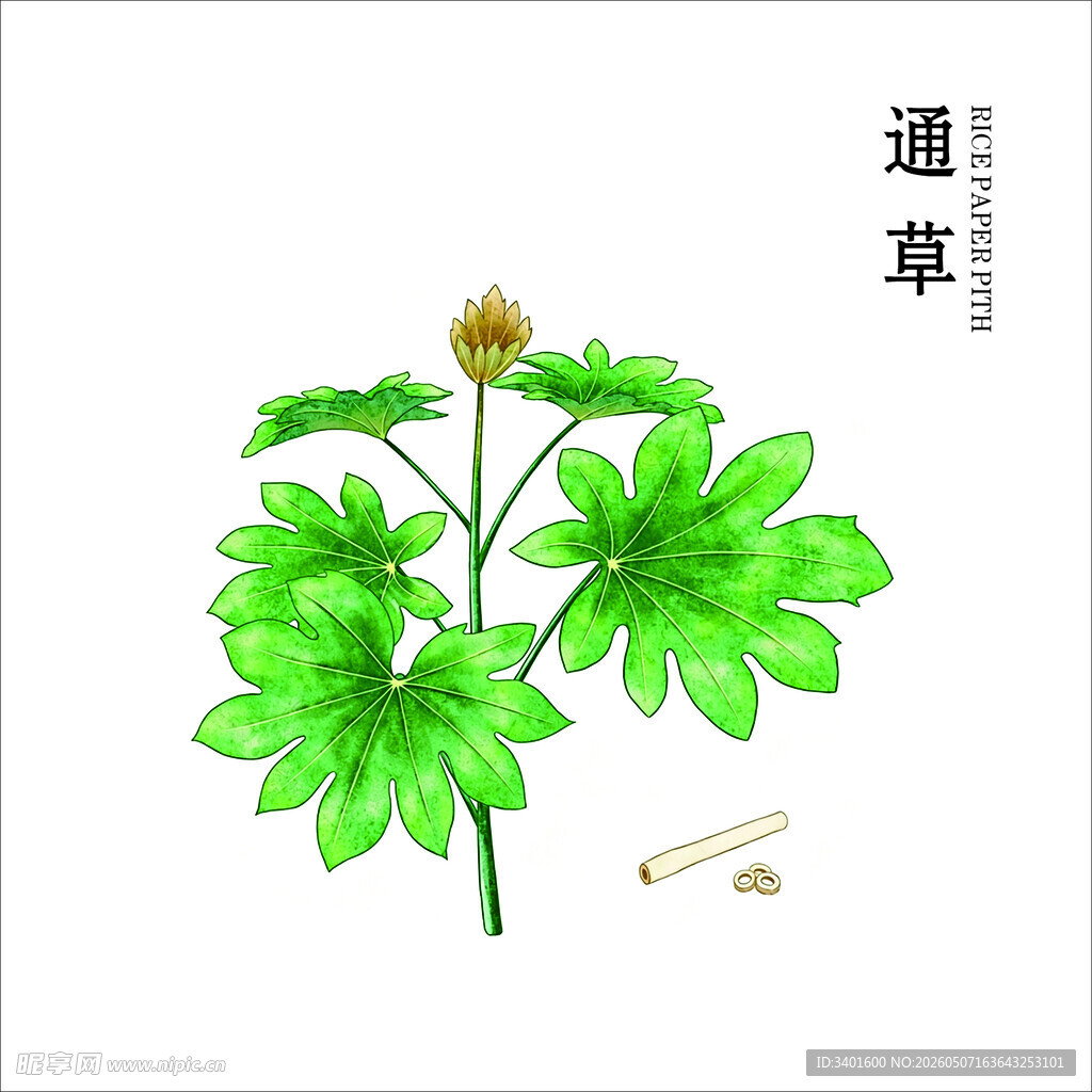 中药材