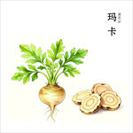 玛卡 中药