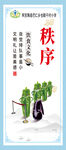 秩序