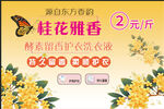 桂花雅香洗衣液