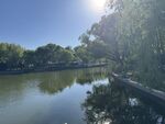 湖畔阳光美景