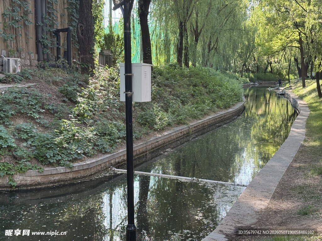 河畔小径静谧自然景致