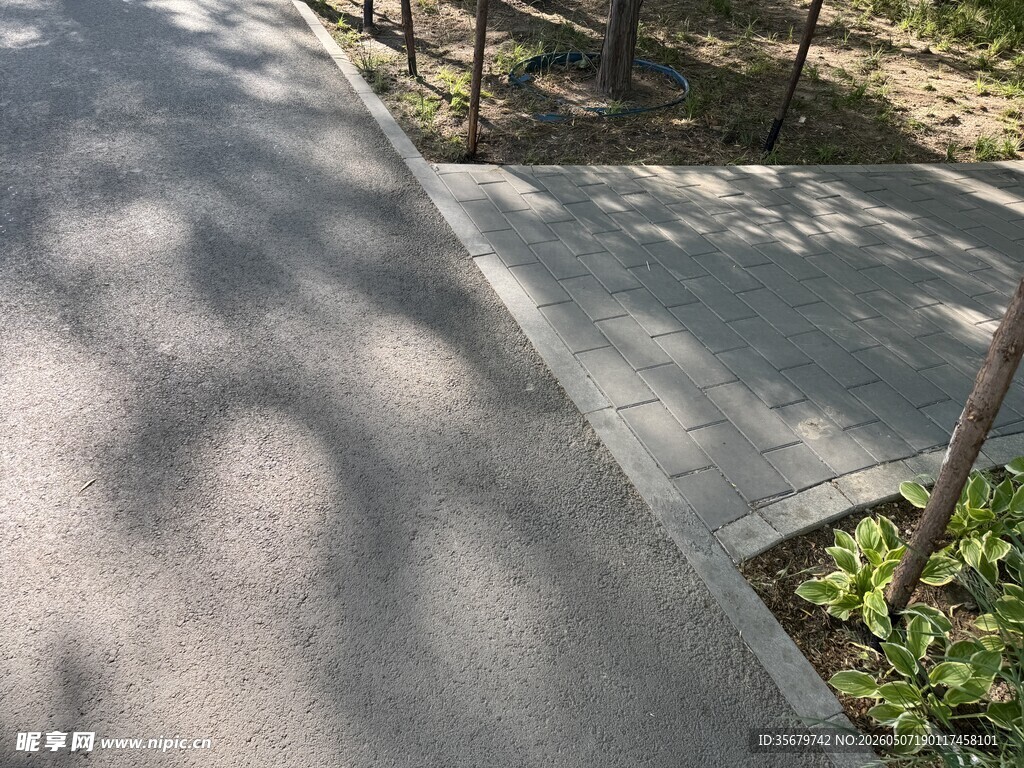 阳光洒落的户外水泥小径