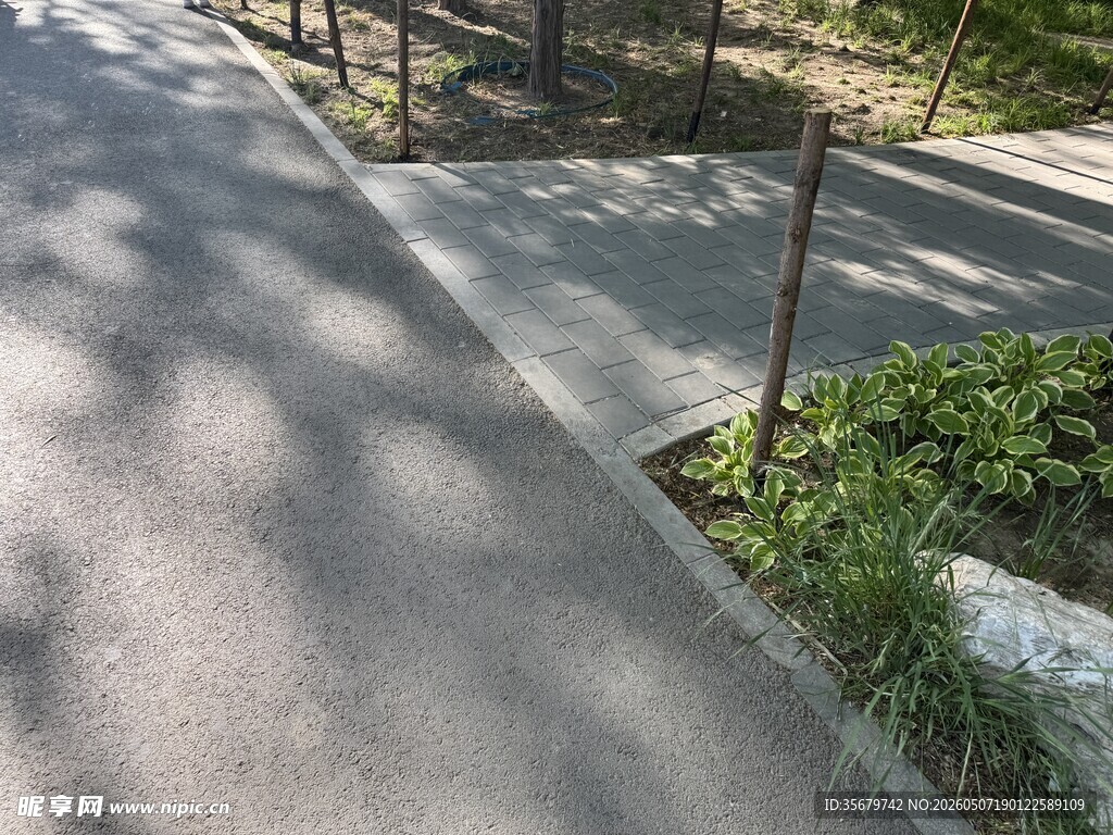 户外道路旁绿植景观