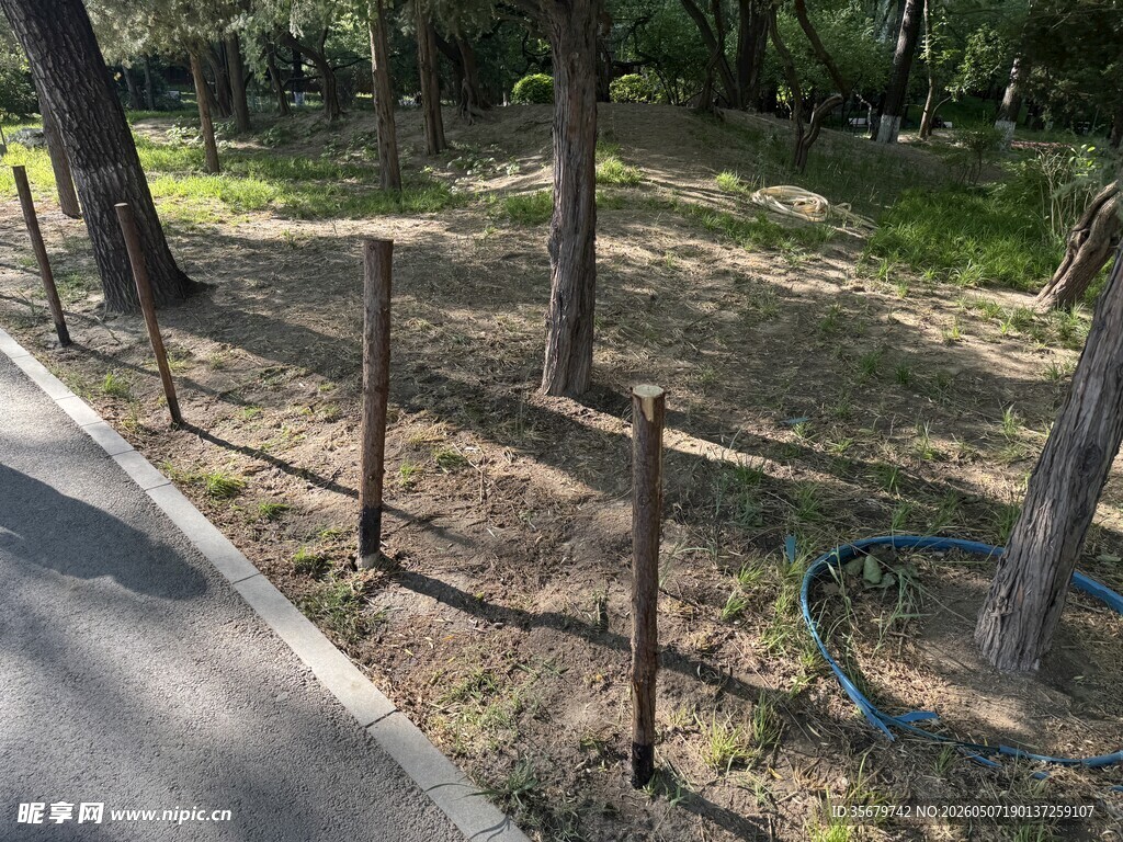 户外林间的简易金属围栏