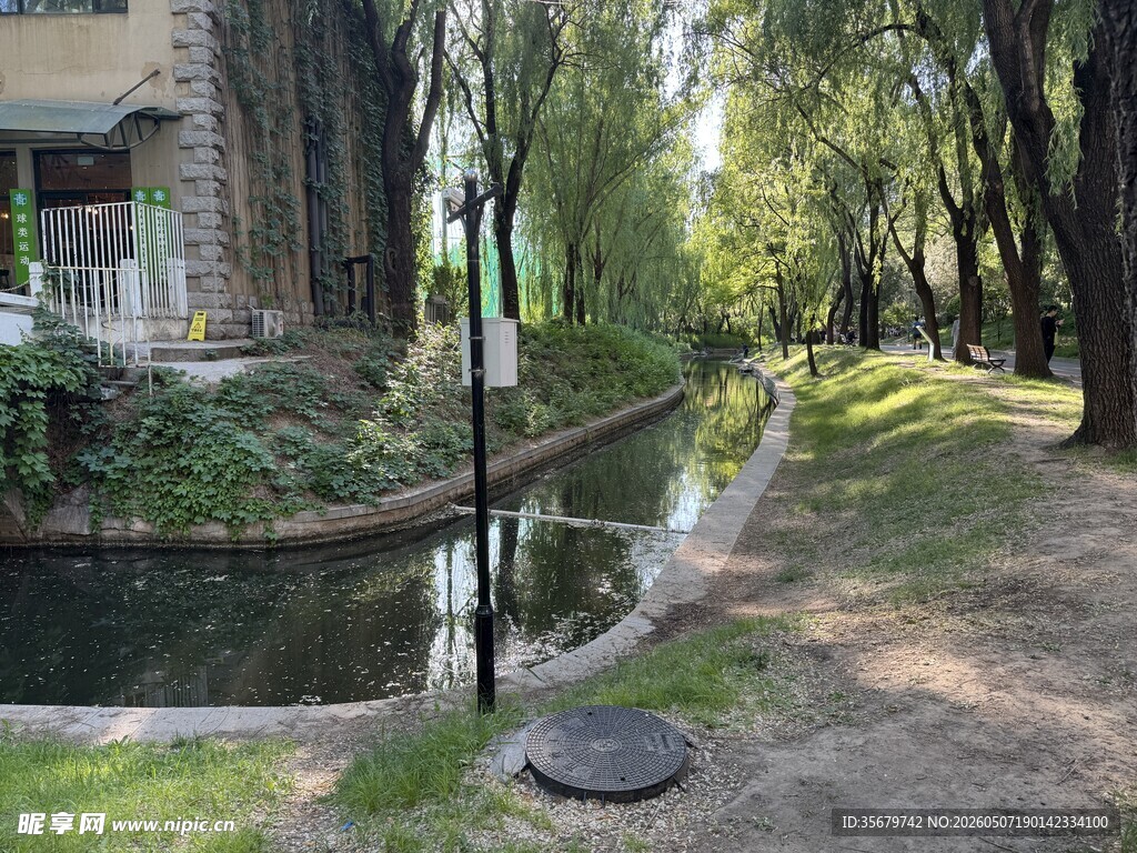 河畔林荫小道静谧风光