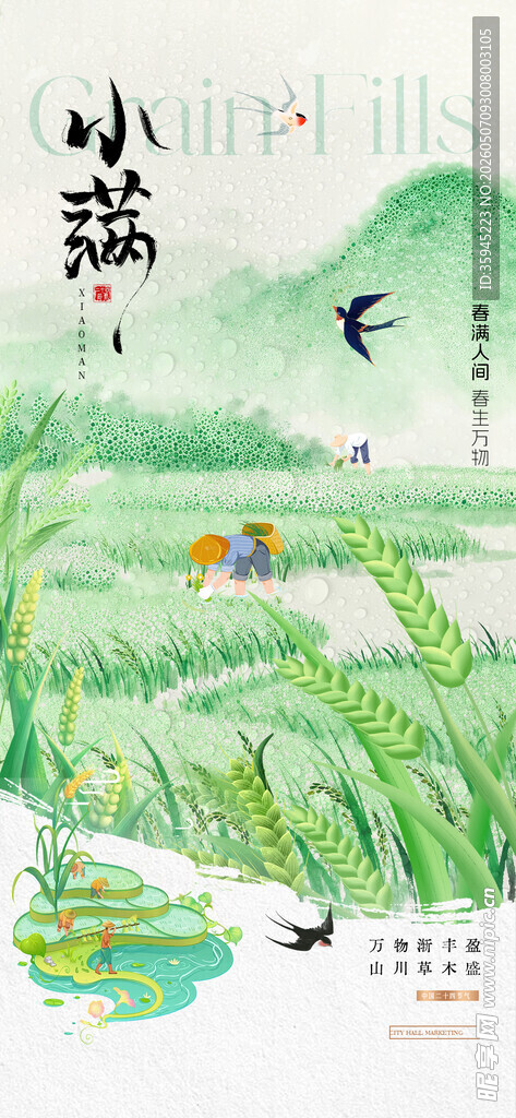小满夏日稻田中的童趣画面
