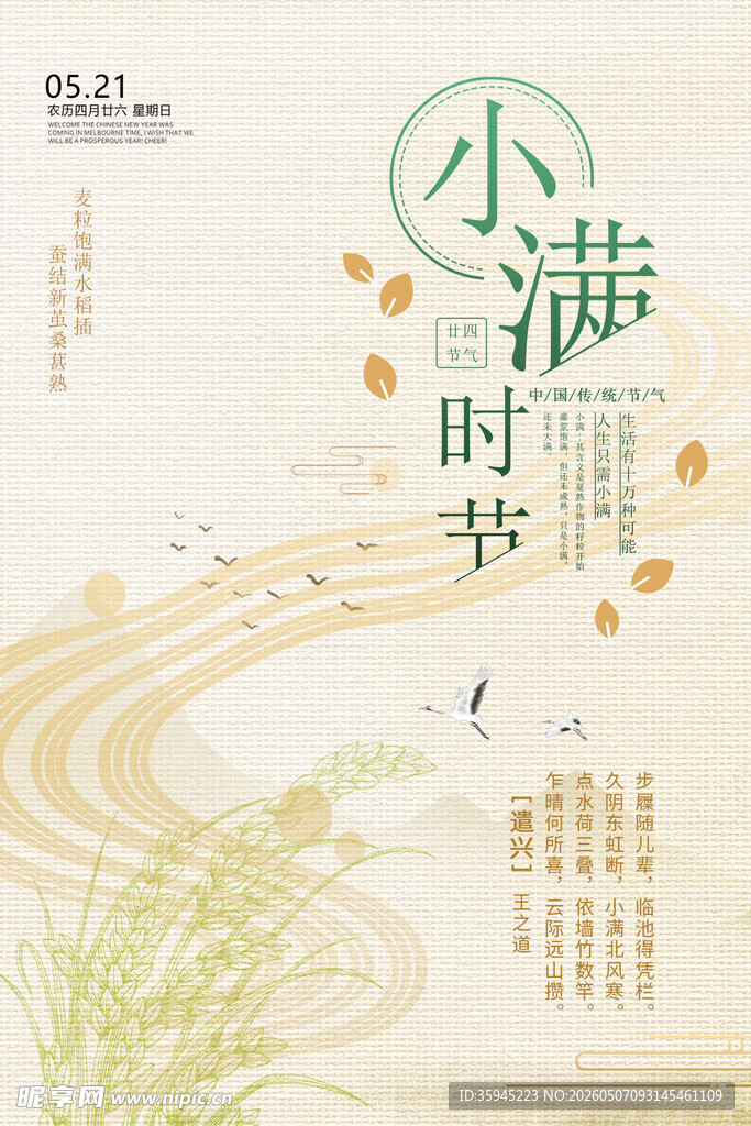 小满时节海报设计