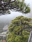 三清山雾中松景下的建筑风光
