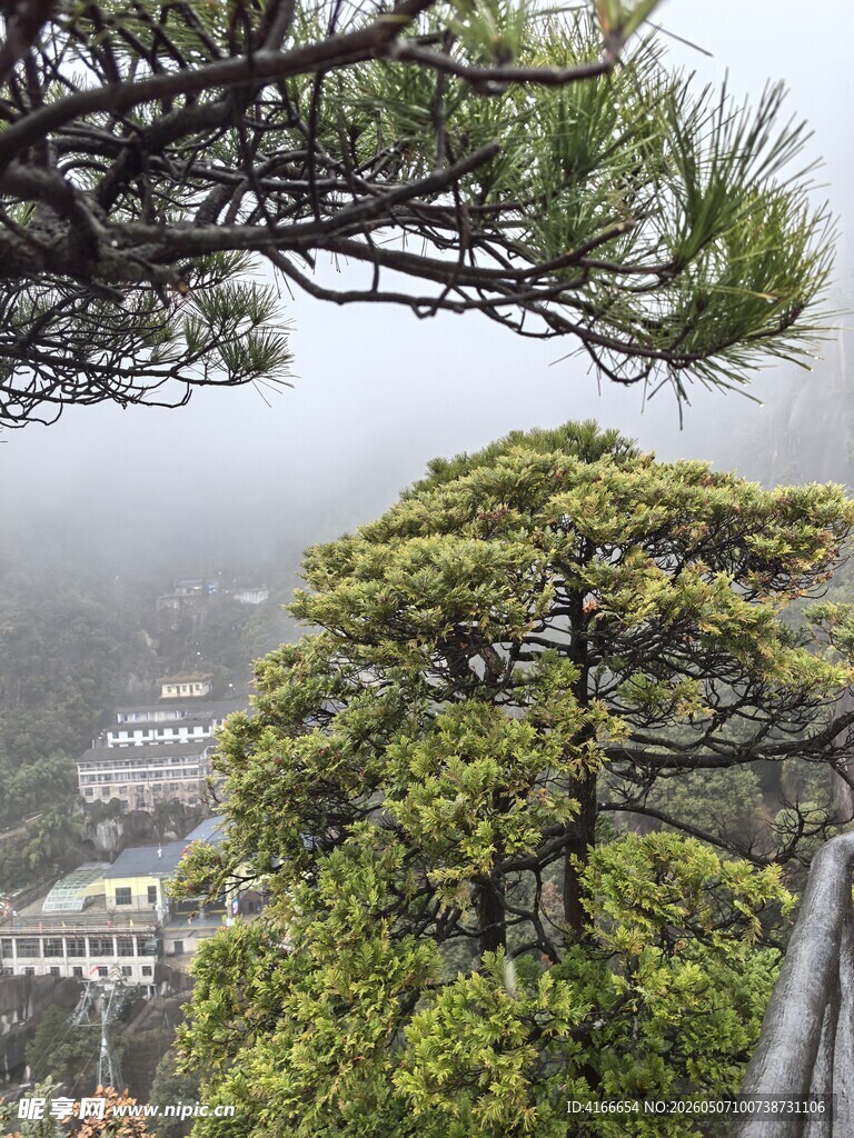 三清山雾中松景下的建筑风光