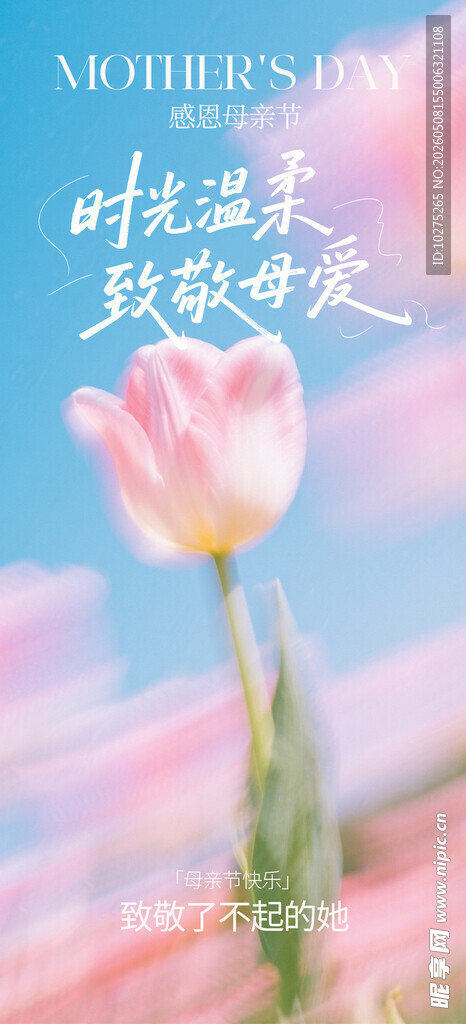 弥散风母亲节长屏海报