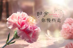 母亲节康乃馨温馨时光主题背景