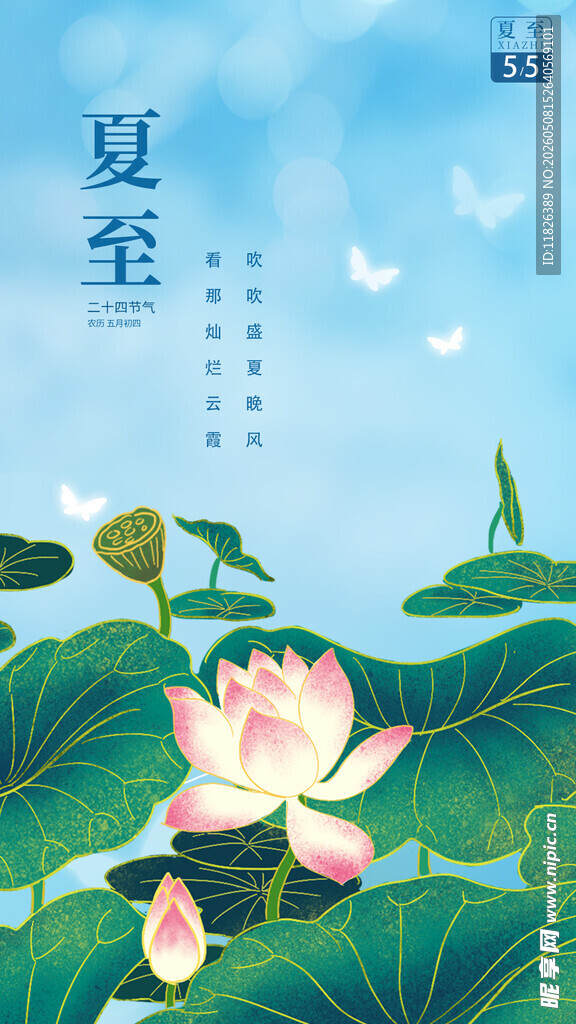 夏至荷花图