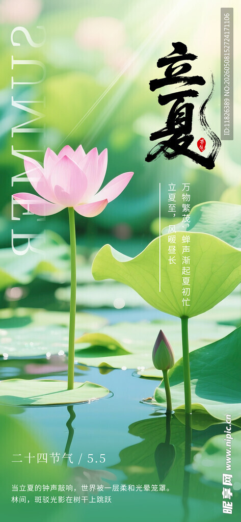立夏海报