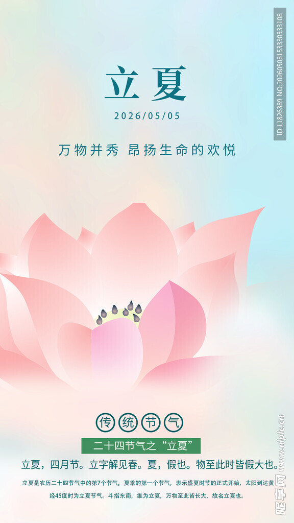 立夏时节荷花主题海报