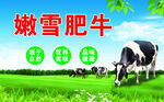 肥牛标签