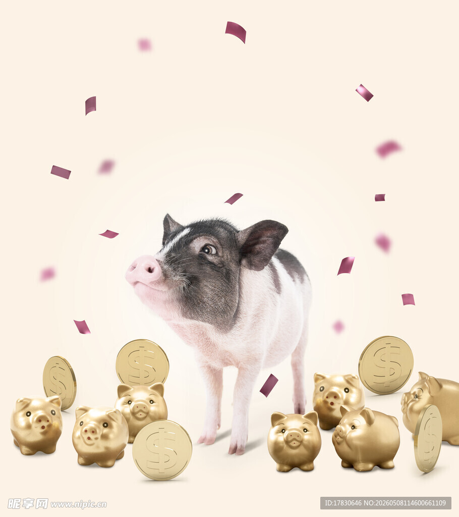 金猪纳福海报