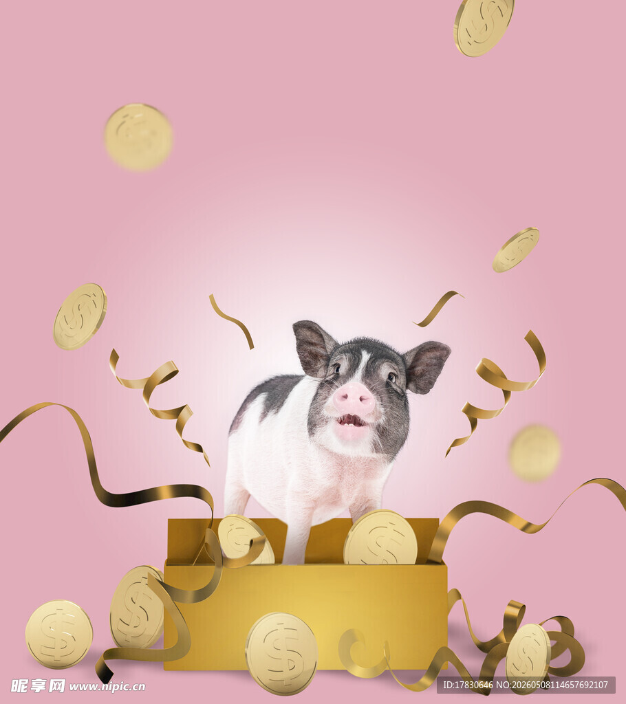 金猪纳福海报