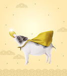 金猪纳福海报