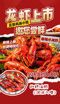 龙虾上市邀您畅享美味