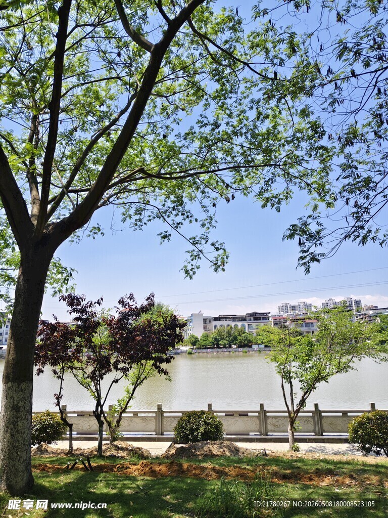 湖畔绿树成荫的美丽景致