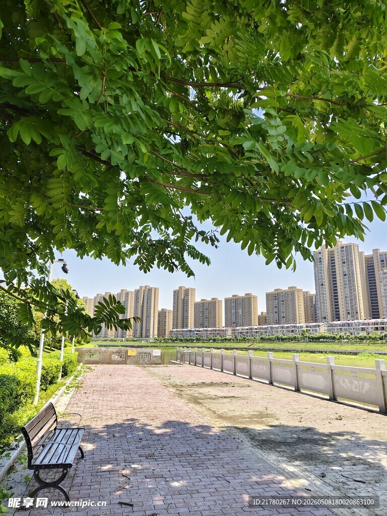 河畔绿树旁的城市风光