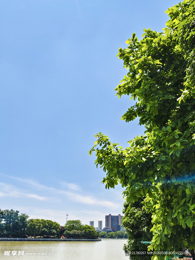 河畔绿树蓝天美景