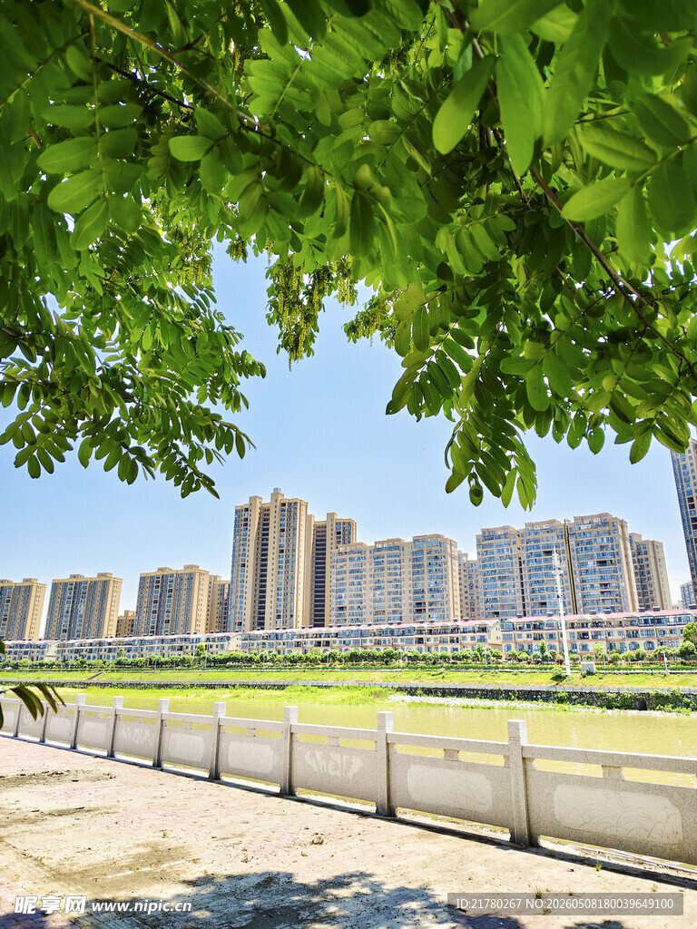 城市河畔绿树高楼景观