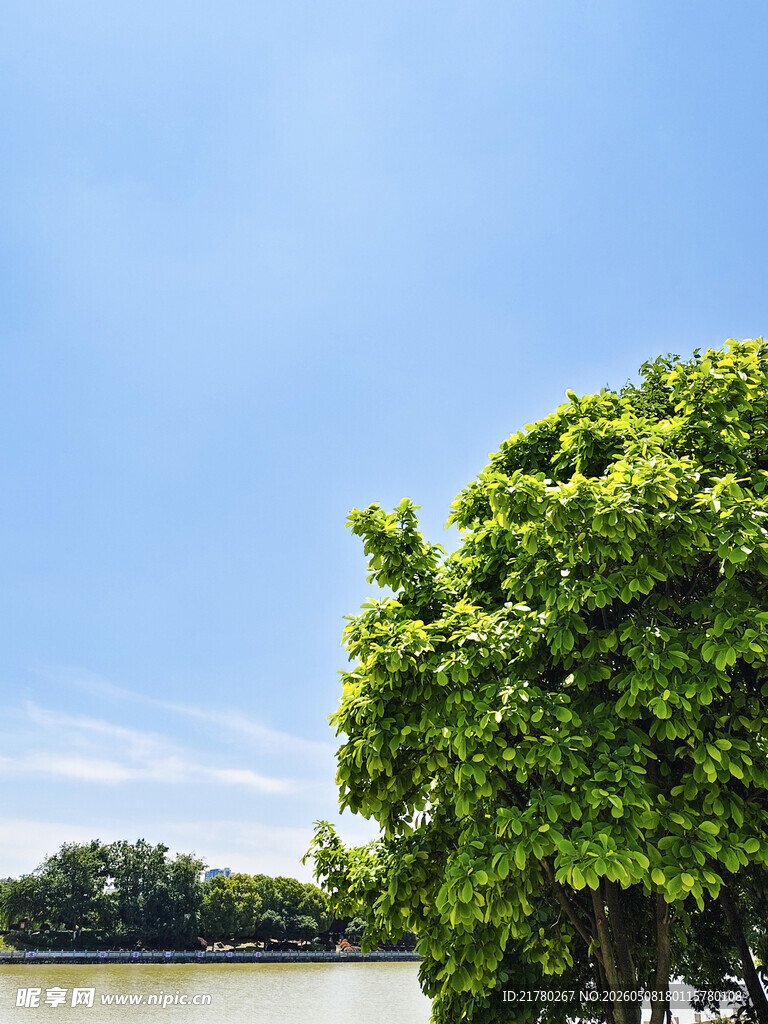 河畔绿树蓝天美景