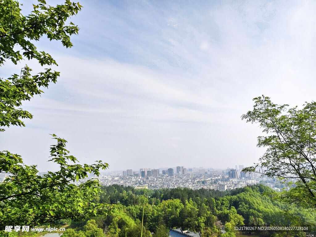 林间远眺城市天际线