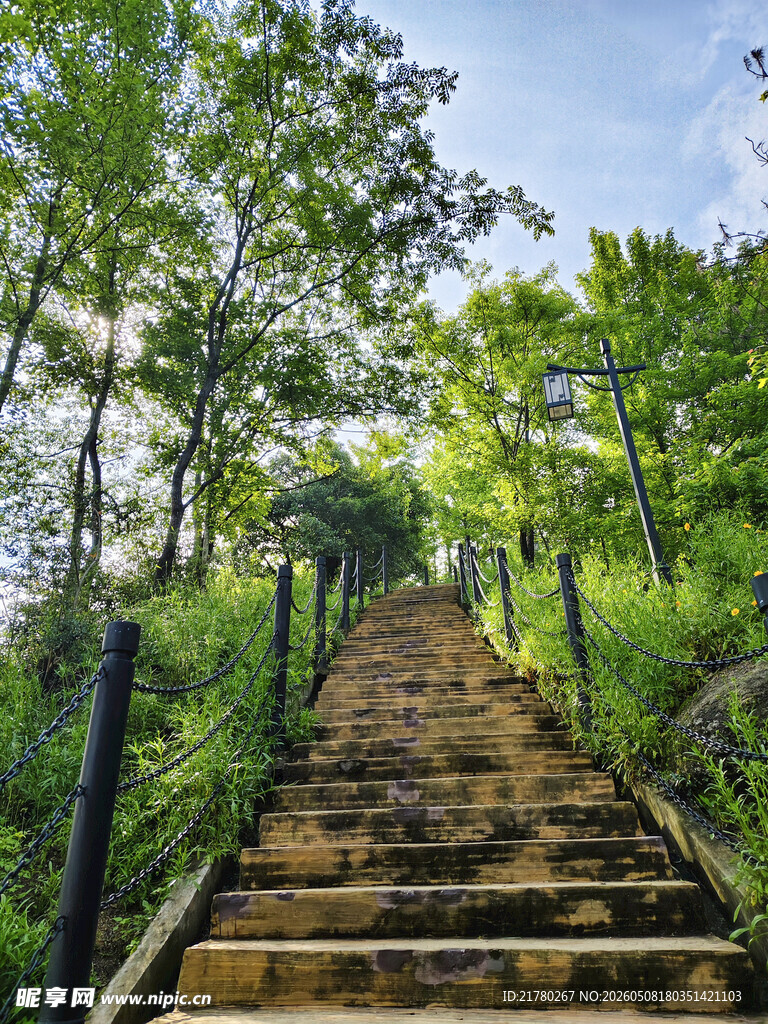 林间石阶
