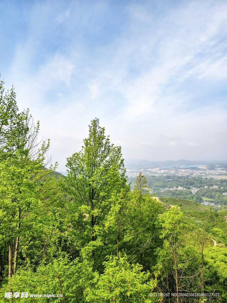 山林远眺美景