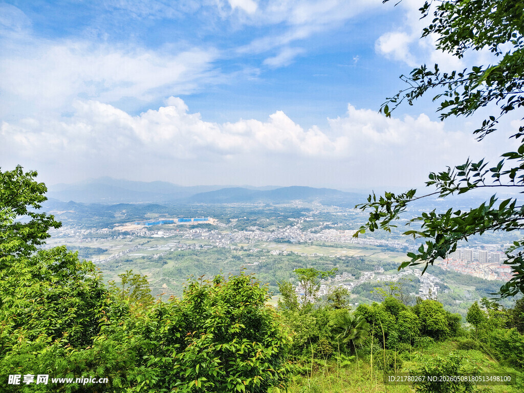 山顶俯瞰绿意与城市风光