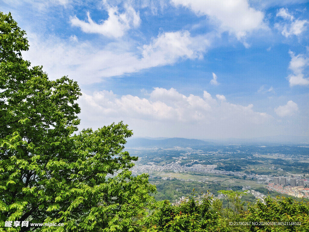 山顶俯瞰绿意盎然美景