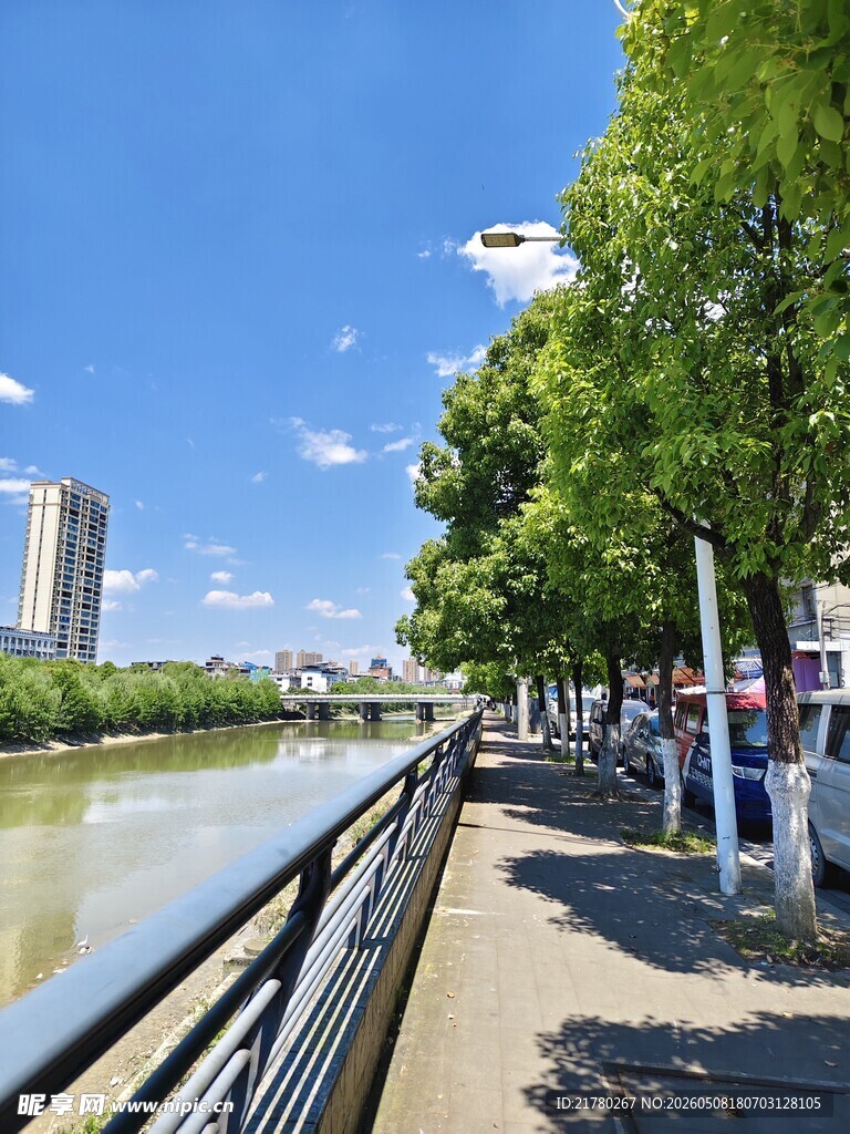 河畔绿荫下的城市漫步道