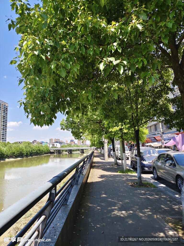 河畔绿荫步道